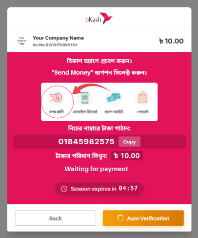 bKash Payment Instruction panel configuration