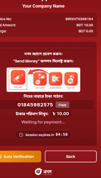 Nagad Payment Instruction panel configuration
