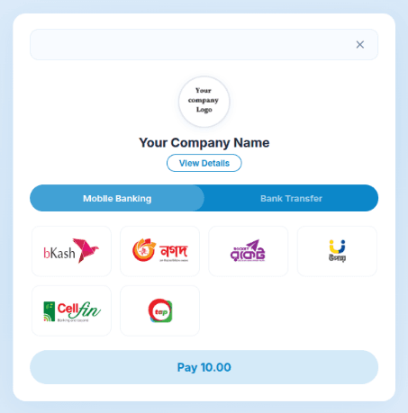 CodePay MFS Checkout Router Options Selection
